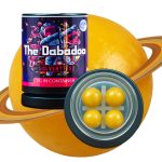 SOLVENT7ESS Dabadoo | 2g Premium Solventless Concentrate