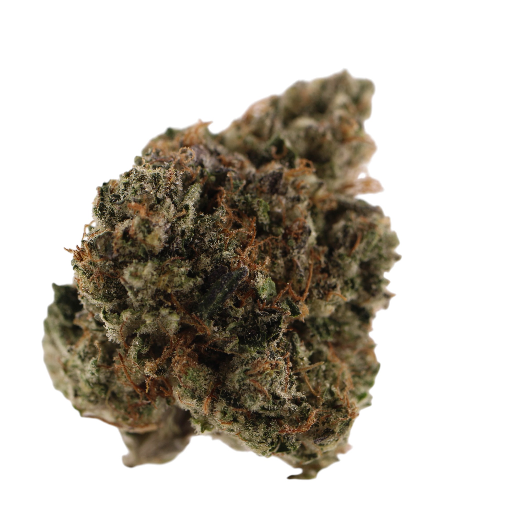 chapo solo El Chapo 28G - Image 1