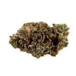 North Shore Gas 28G POPCORN