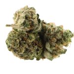 El Chapo 28G POPCORN
