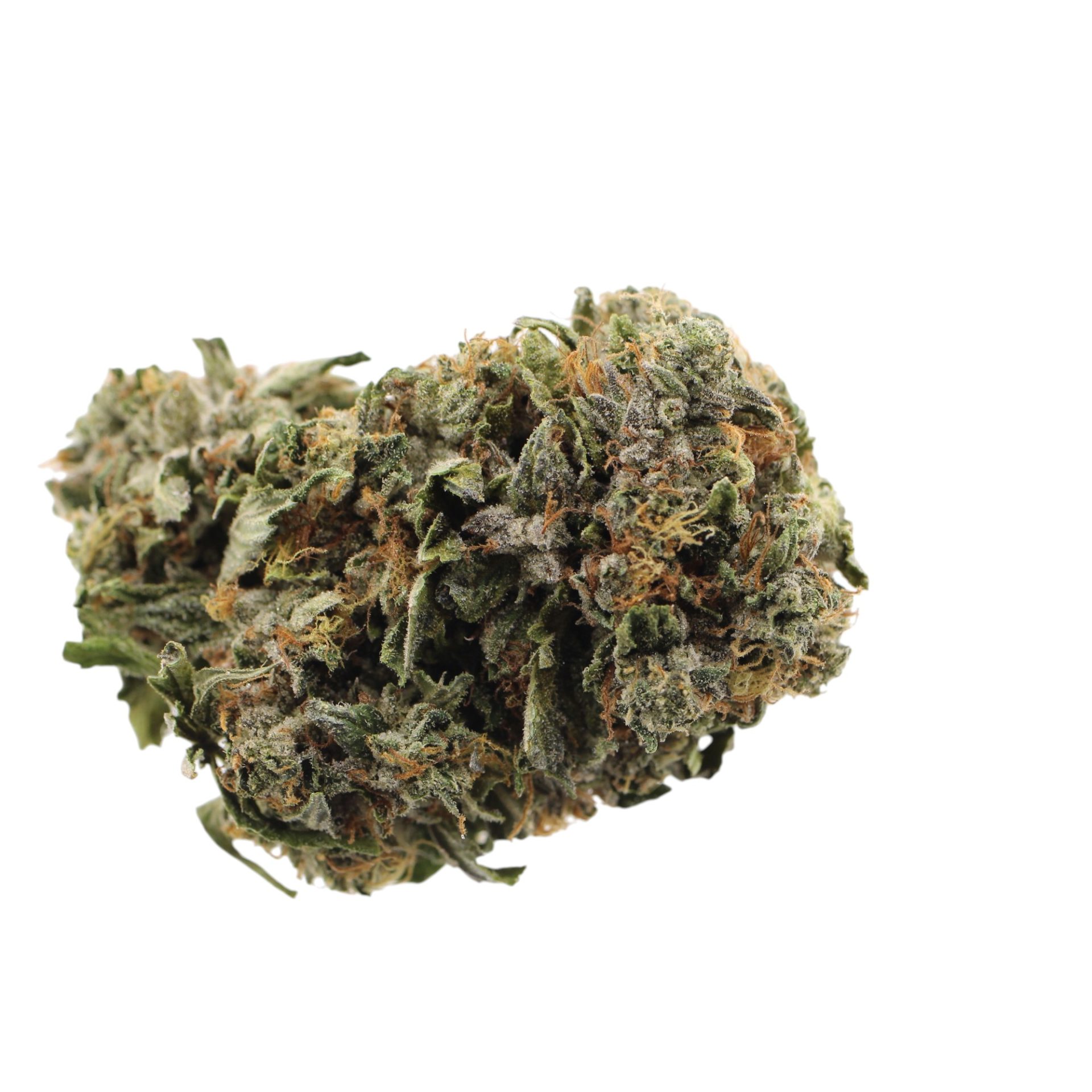 bonguru rockstar Bonguru Rockstar 28G - Image 1