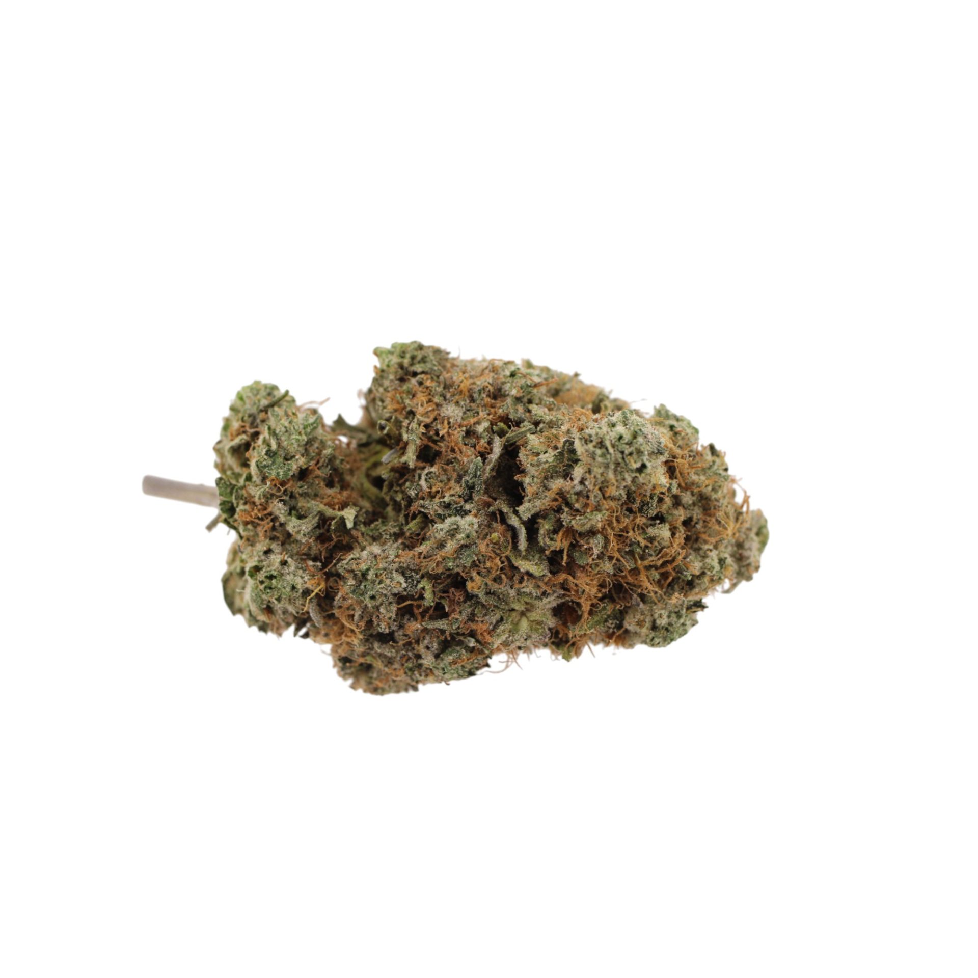 gorilla kush solo Gorilla Kush 28G - Image 1